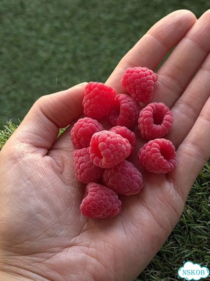 Малина из полимерной глины для украшений фото 1