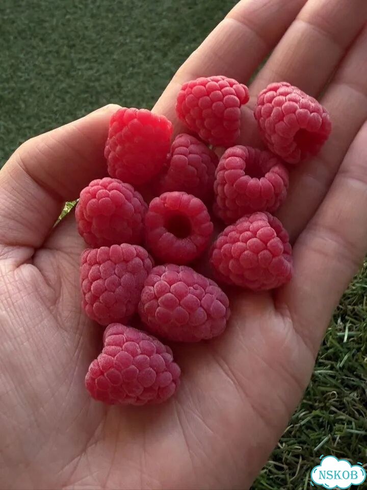 Малина из полимерной глины для украшений фото 2