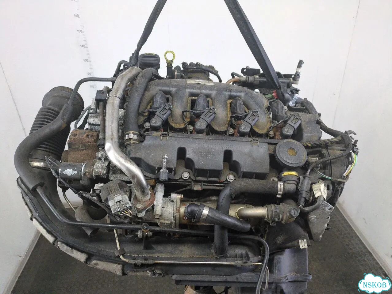 Двигатель Ford Galaxy qxwa, qxwb, qxwc фото 6
