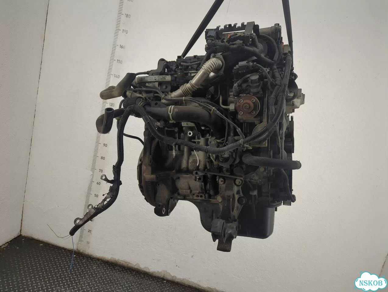Двигатель Citroen C4 9HP фото 10