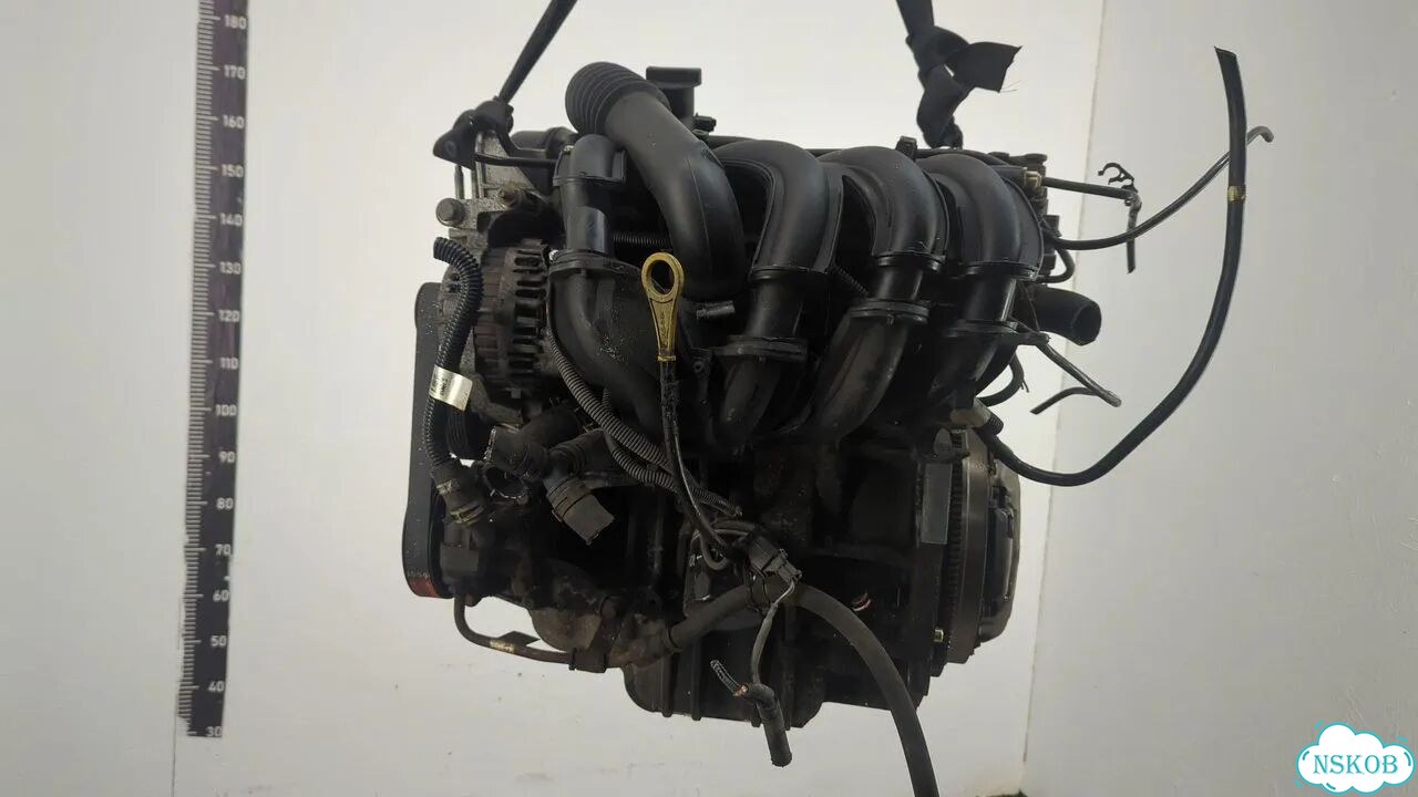 Двигатель Ford Fiesta FUJ фото 6