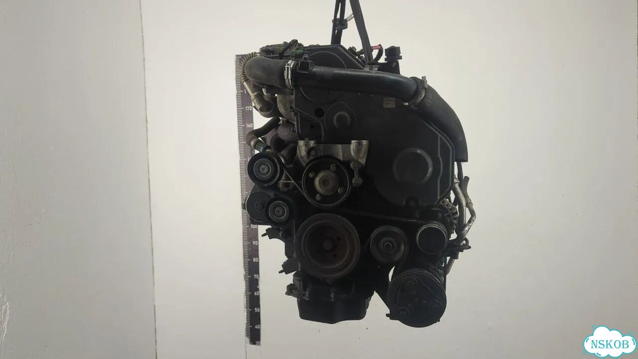 Двигатель Ford Focus 2 kkda, kkdb фото 1