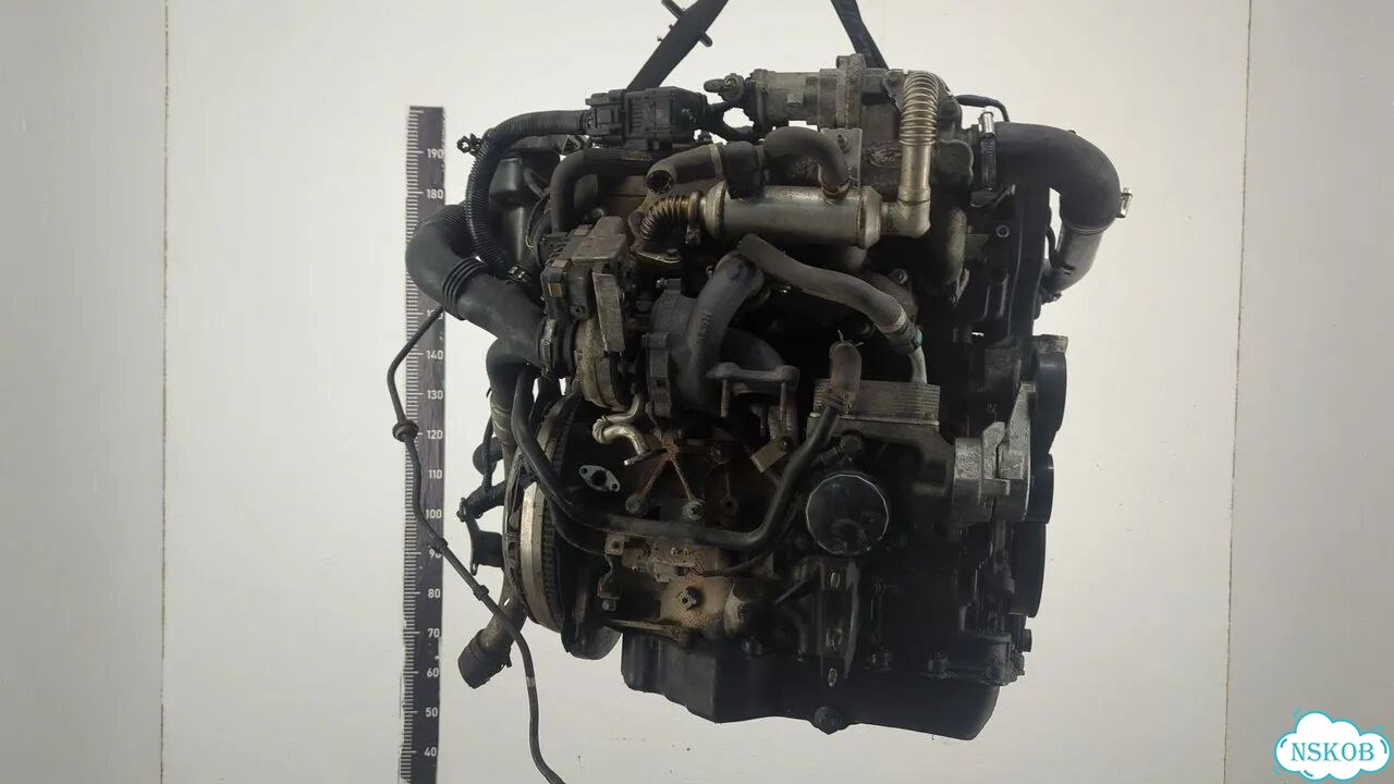 Двигатель Ford Focus 2 kkda, kkdb фото 5