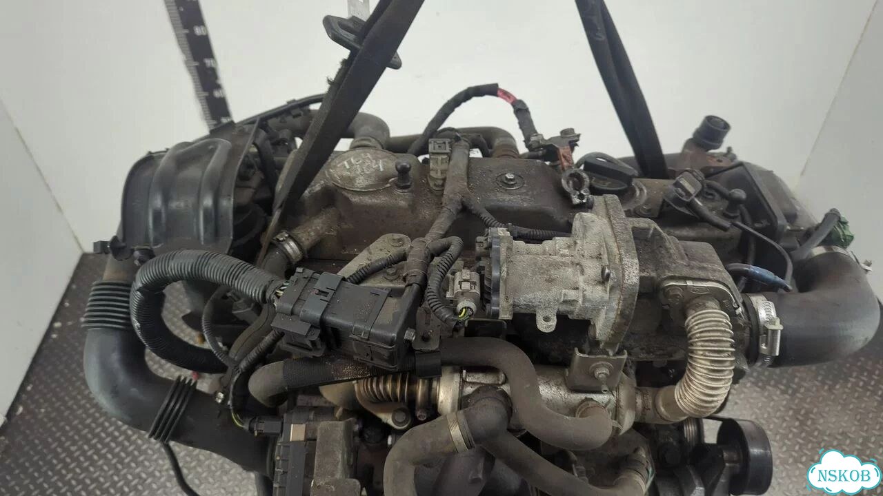 Двигатель Ford Focus 2 kkda, kkdb фото 7