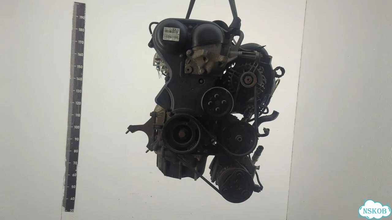 Двигатель Ford Focus 2 shda, shdc фото 1