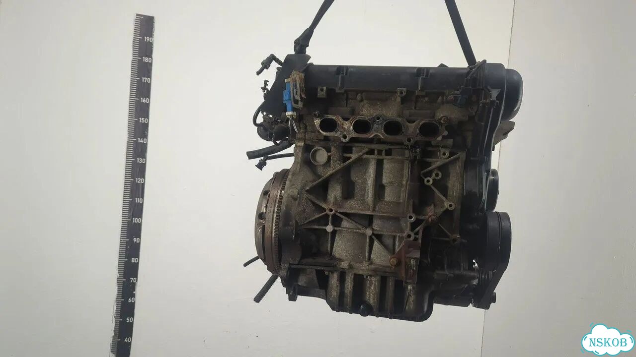 Двигатель Ford Focus 2 shda, shdc фото 3