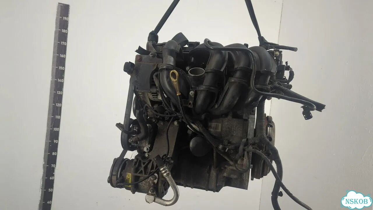 Двигатель Ford Focus 2 shda, shdc фото 5