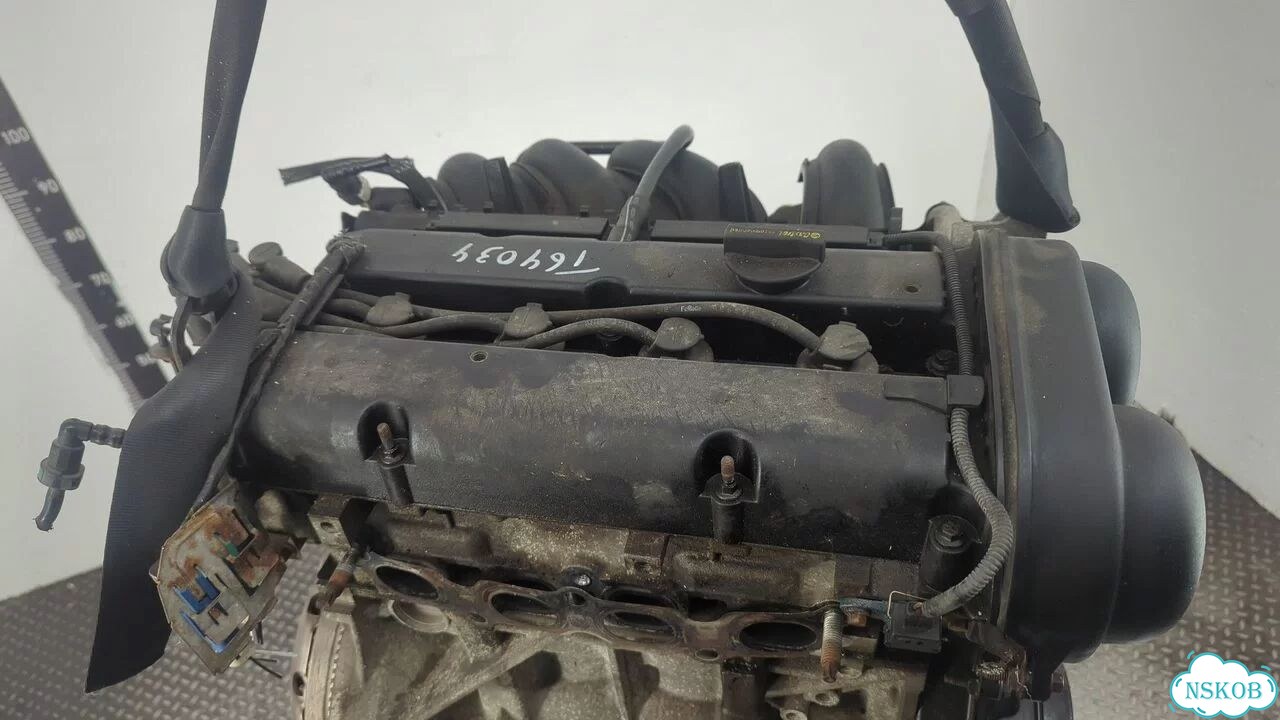 Двигатель Ford Focus 2 shda, shdc фото 8