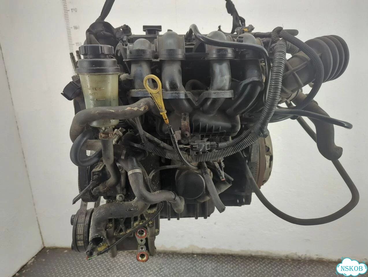 Двигатель Ford Focus 2 sida фото 4