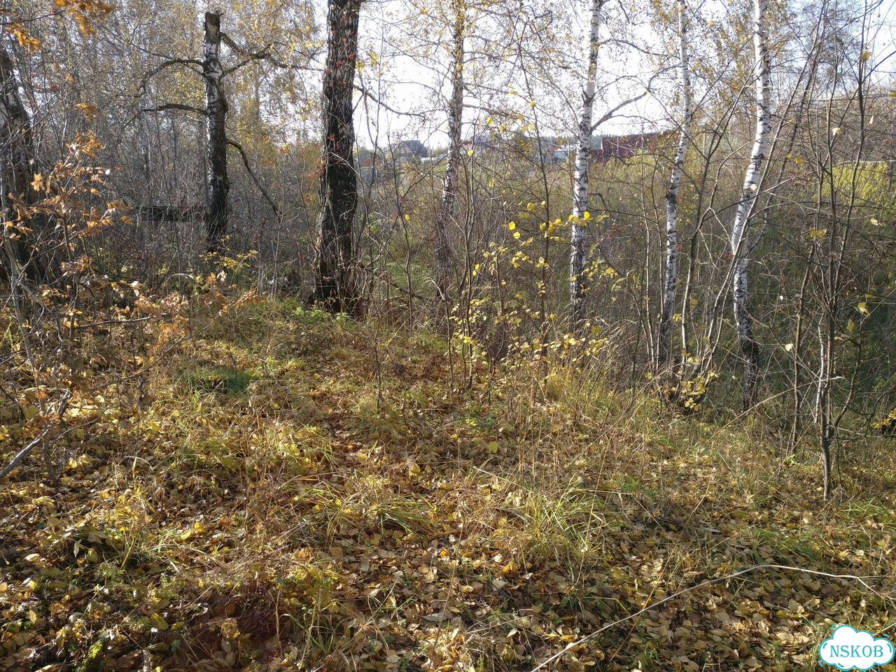 Участок 16,5 сот. (ИЖС) фото 11