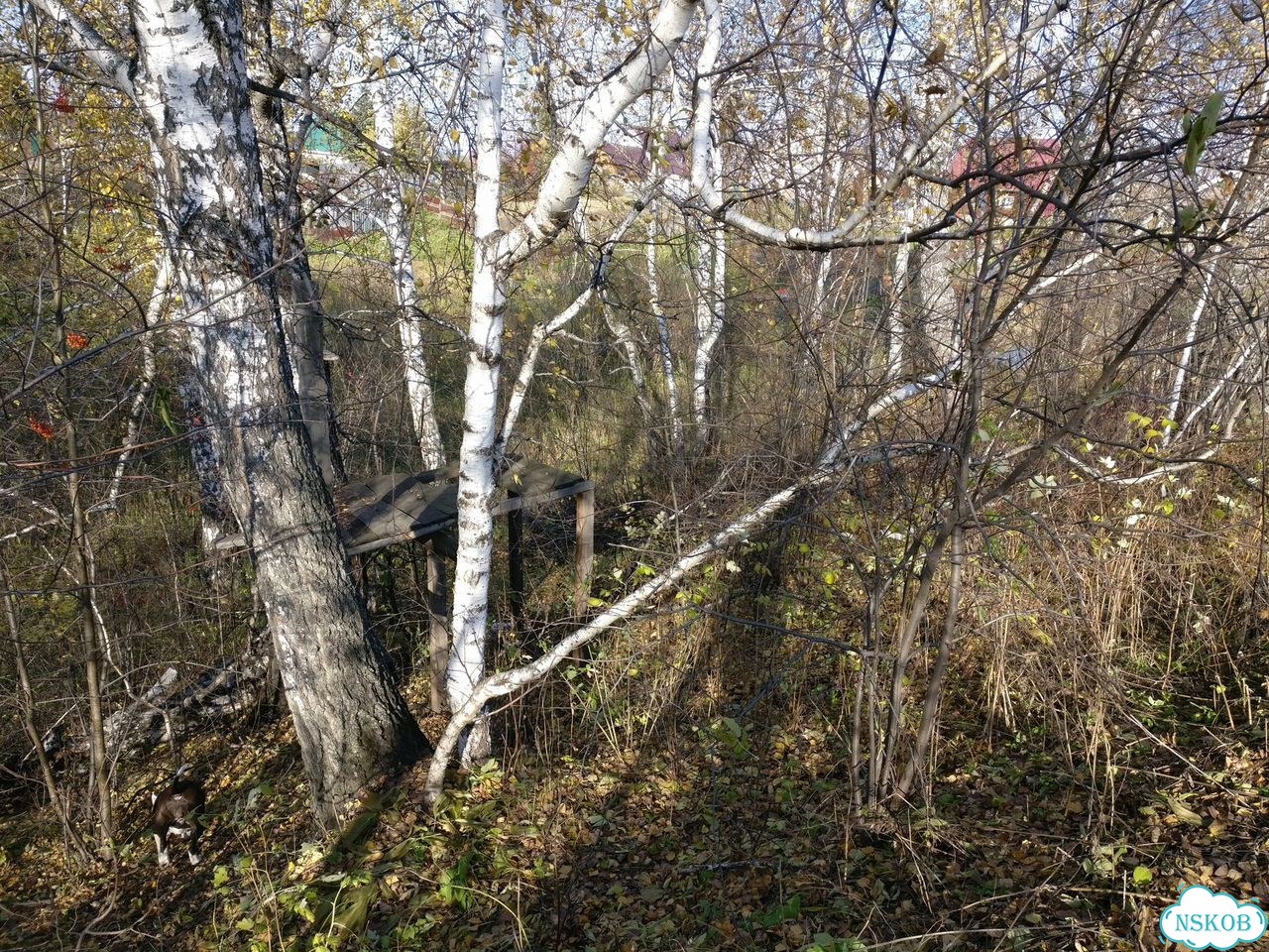 Участок 16,5 сот. (ИЖС) фото 12