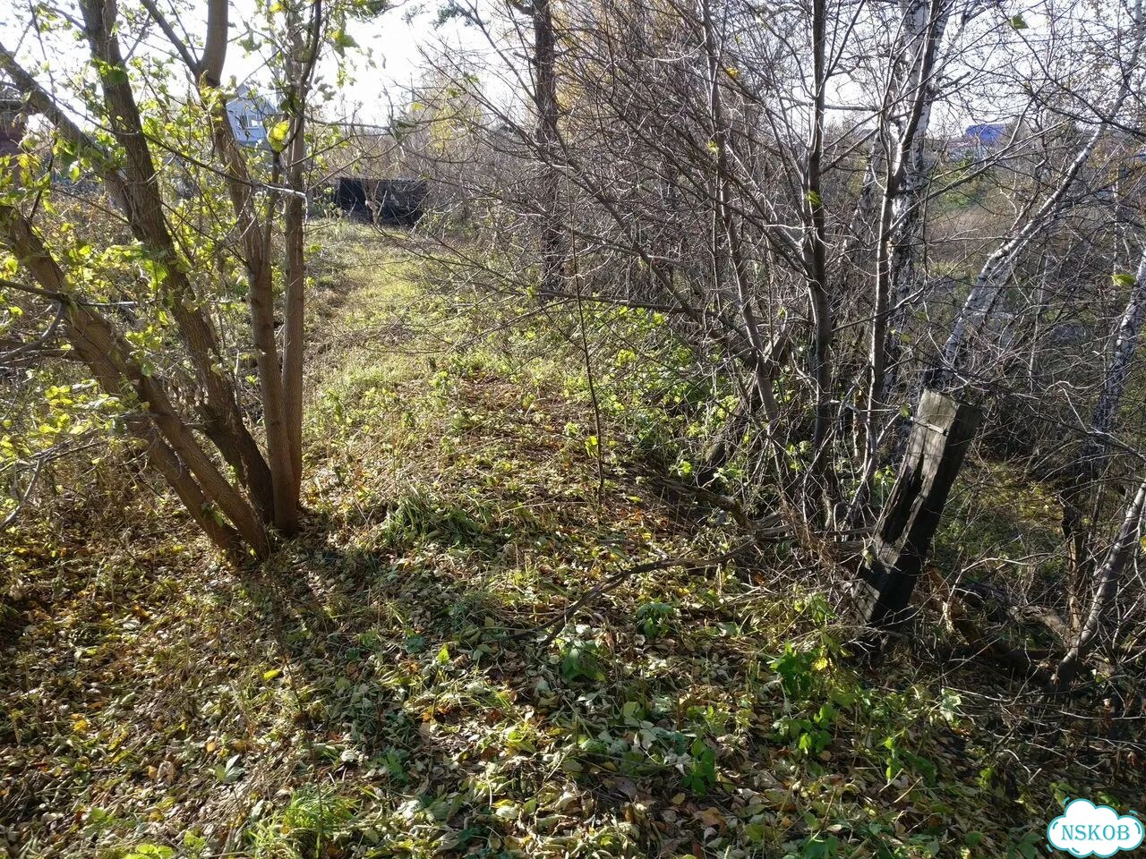 Участок 16,5 сот. (ИЖС) фото 13