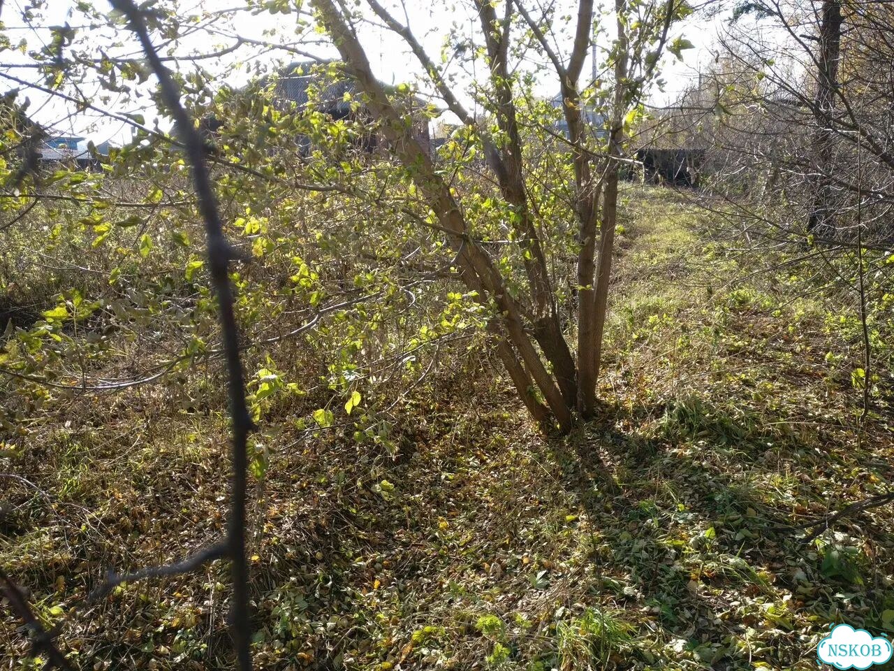Участок 16,5 сот. (ИЖС) фото 14