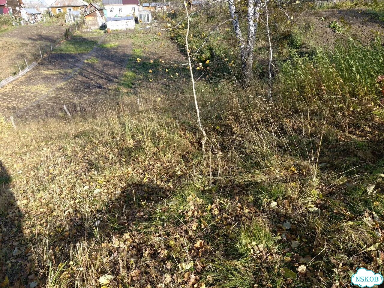 Участок 16,5 сот. (ИЖС) фото 8