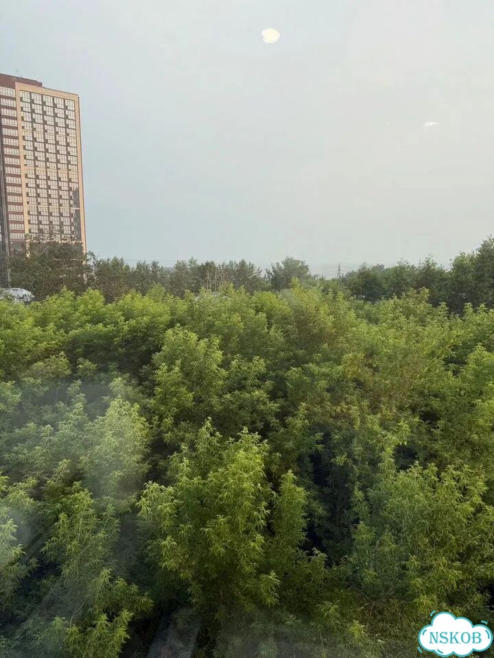 4-к. квартира, 60 м², 5/5 эт. фото 12