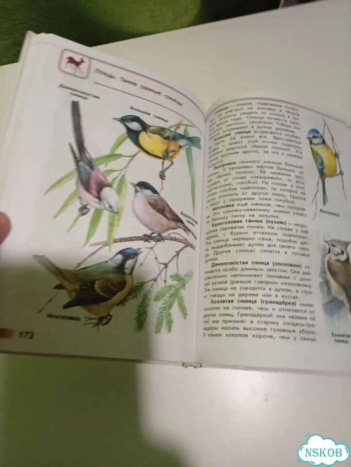 Атлас-определитель для начальной школы фото 3