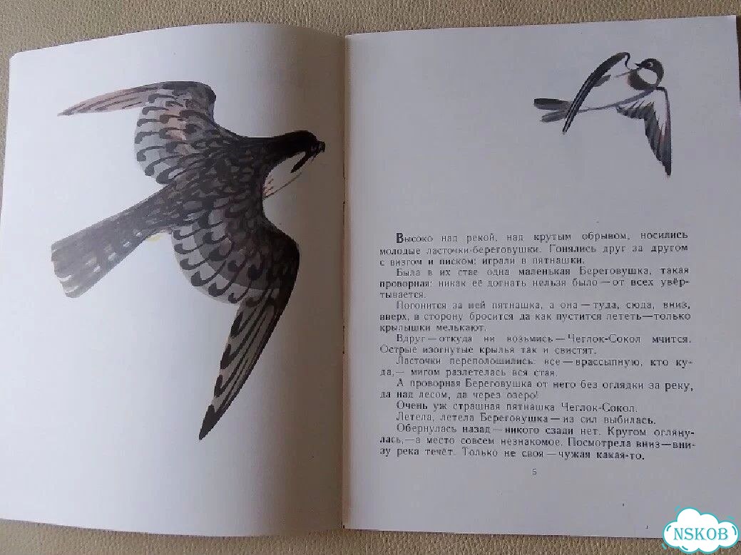 Книга детская СССР 1977г. В.Бианки. Лесные домишки фото 4
