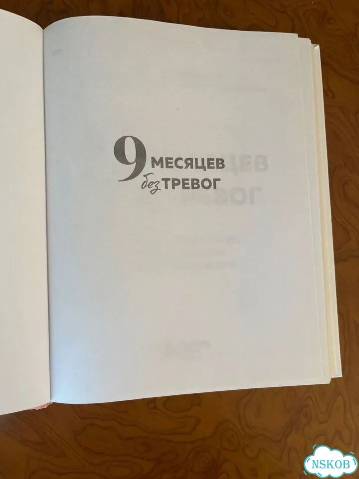 Книга 9 месяцев без тревог. (Анна Барковская) фото 3