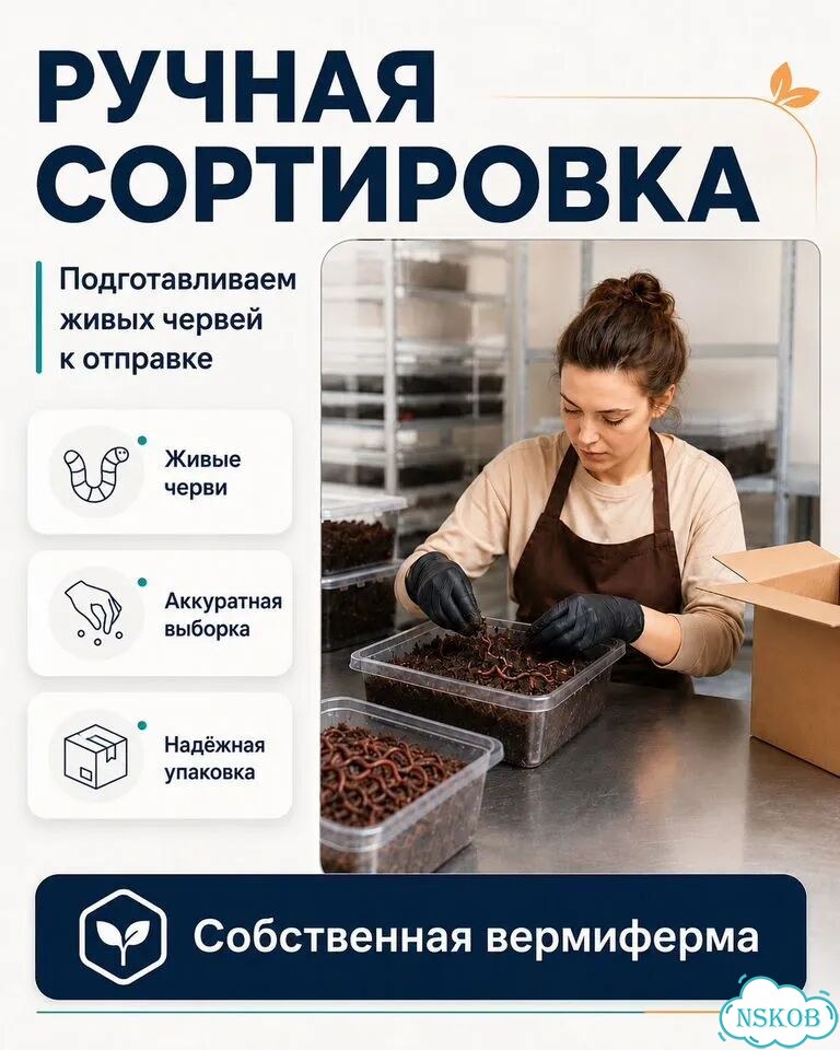 Черви разведение (ккч, калифорнийский)опт/розница фото 1