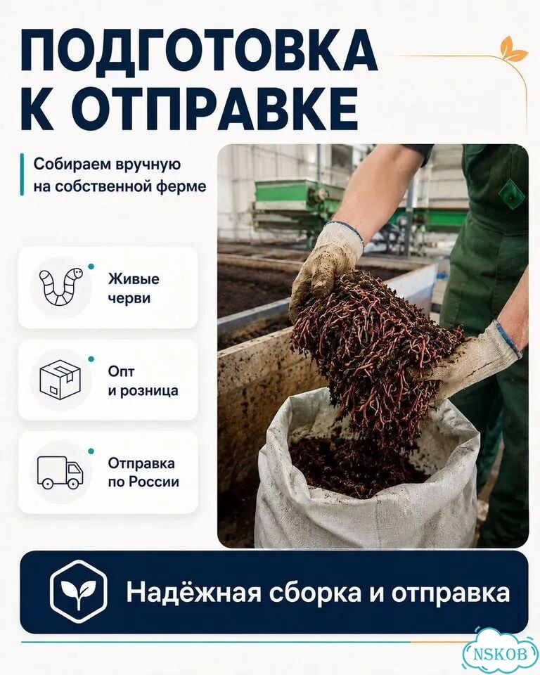 Черви разведение (ккч, калифорнийский)опт/розница фото 2