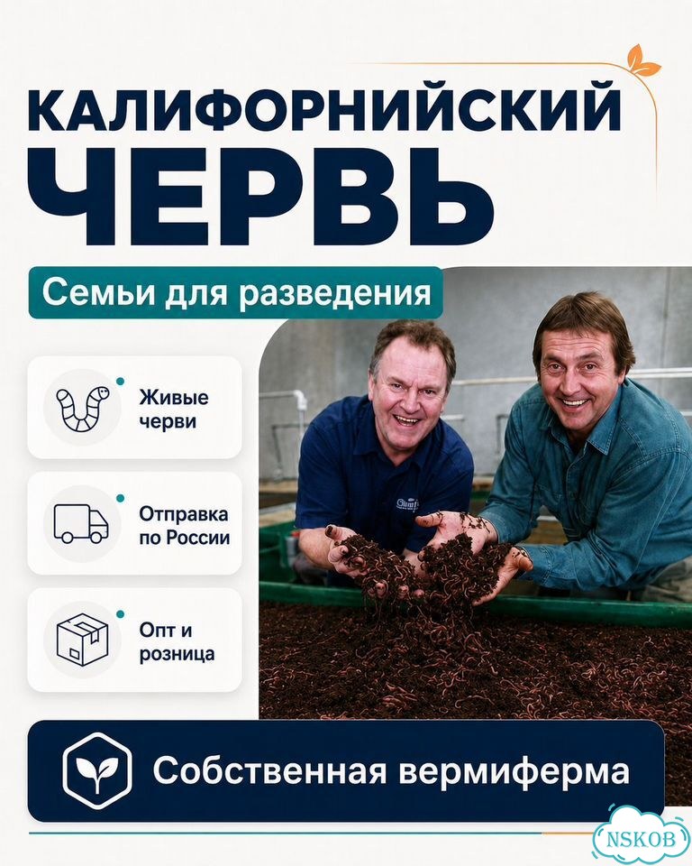 Черви разведение (ккч, калифорнийский)опт/розница фото 3
