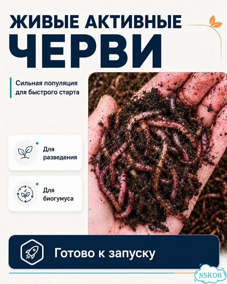 Черви разведение (ккч, калифорнийский)опт/розница фото 4