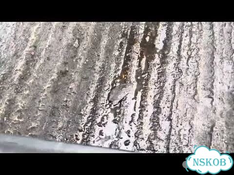 Подушка крепления двигателя Audi A6 (C6) Allroad фото 2