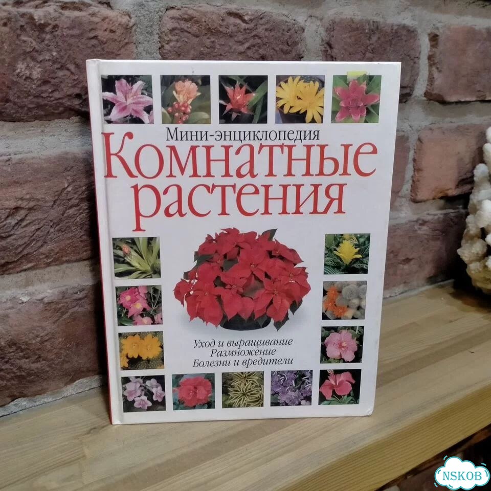 Комнатные растения мини-энциклопедия фото 1
