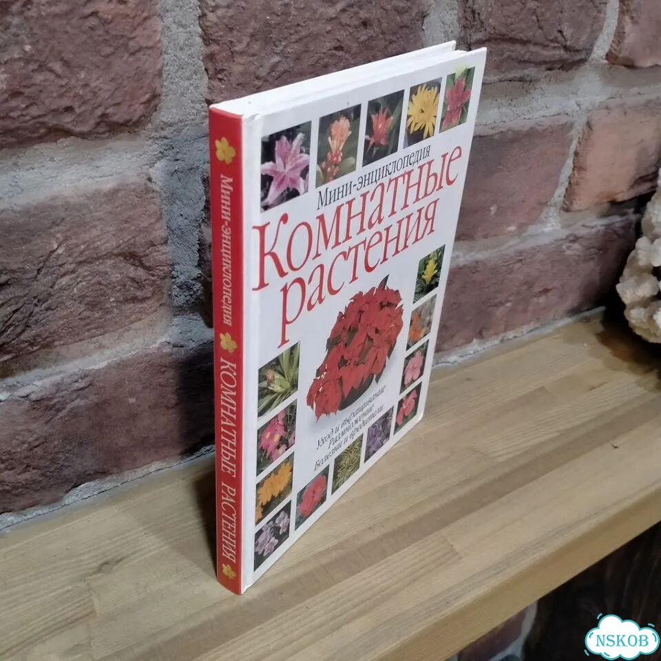 Комнатные растения мини-энциклопедия фото 2