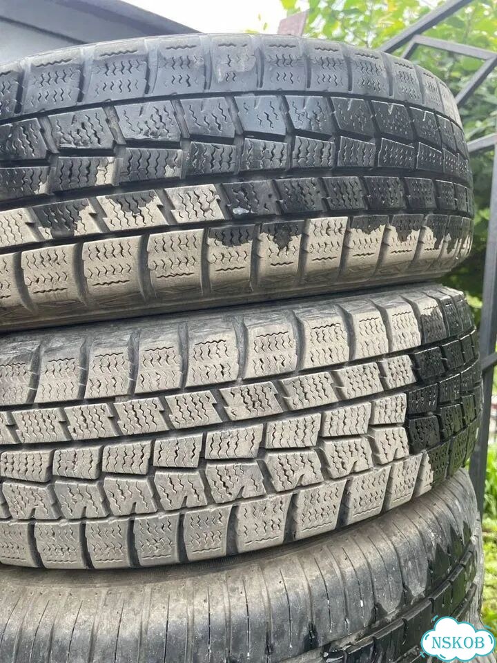 Dunlop SP Winter Maxx WM01 165/65 R14 фото 2