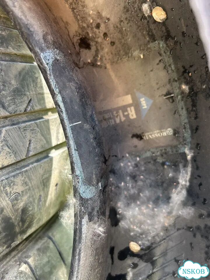 Dunlop SP Winter Maxx WM01 165/65 R14 фото 3