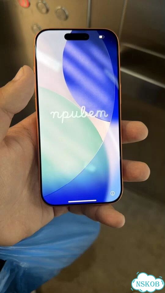 iPhone 17 Pro, 256 ГБ, SIM + eSIM фото 1