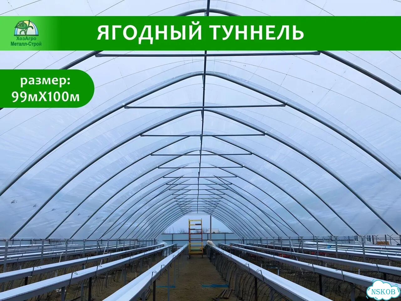 Ягодные туннели / Промышленные фото 1