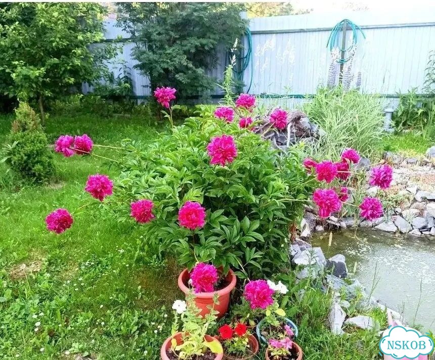 Дача 80 м² на участке 9 сот. фото 22