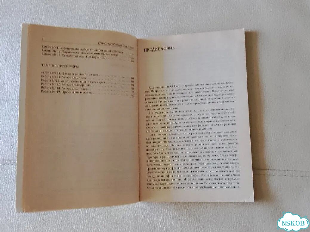 Н.Васильев. Тренинг преодоления конфликтов 2003г фото 8