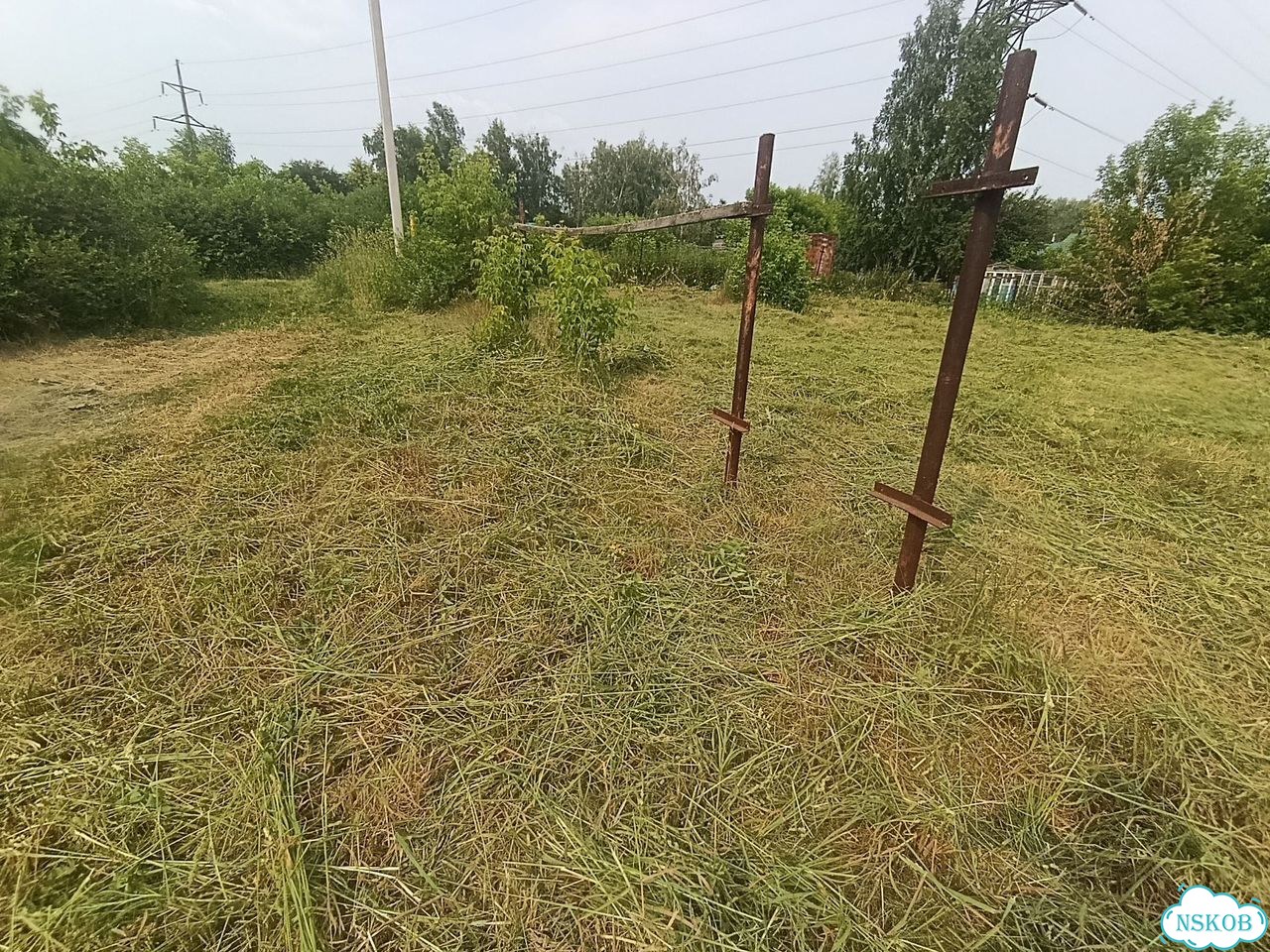 Покос травы любой сложности фото 7