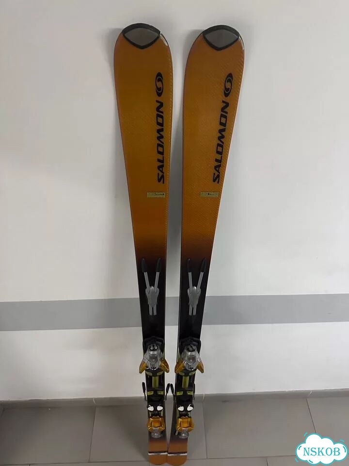 Горные лыжи Salomon Scream 10 Pilot 192 см фото 1