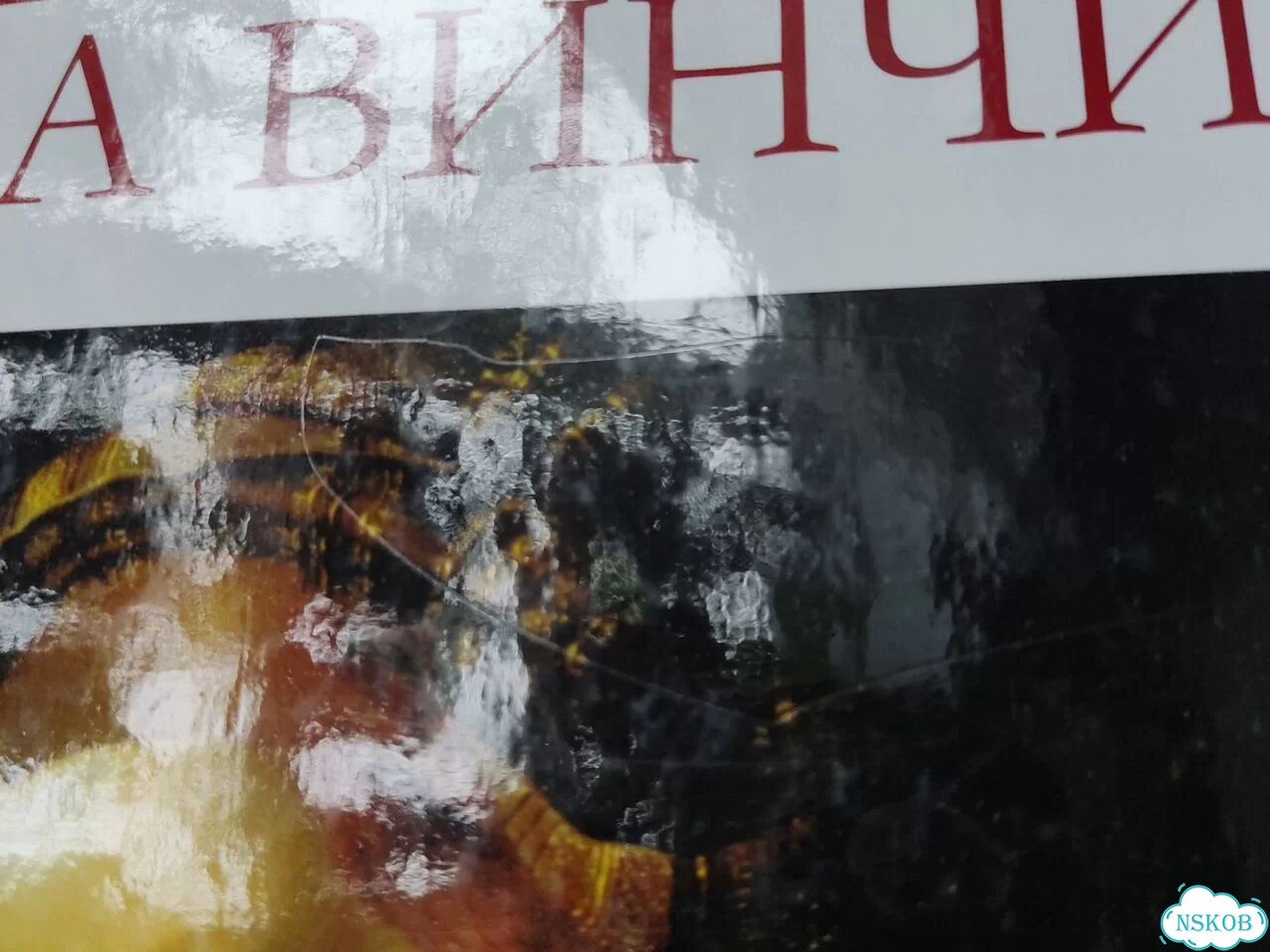 Книга искусство и живопись Леонардо да Винчи фото 10