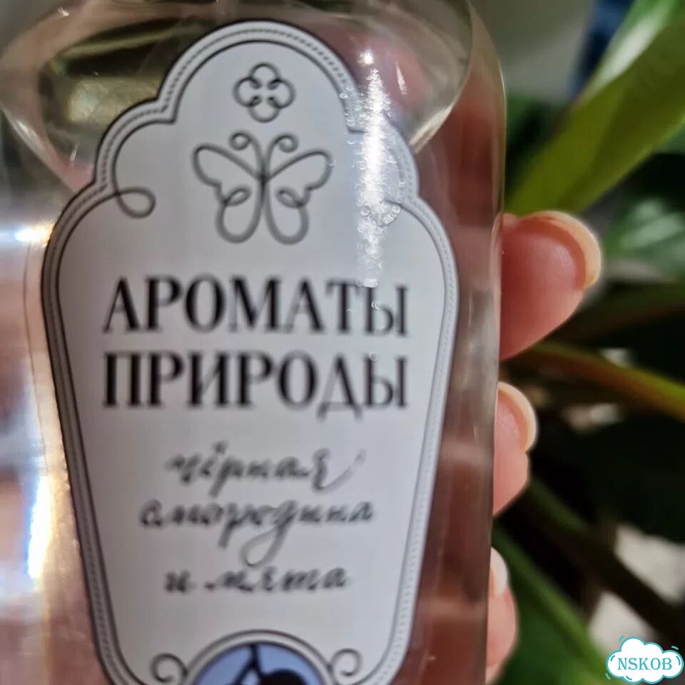 Запах чёрной смородины и мяты туалетная вода фото 1