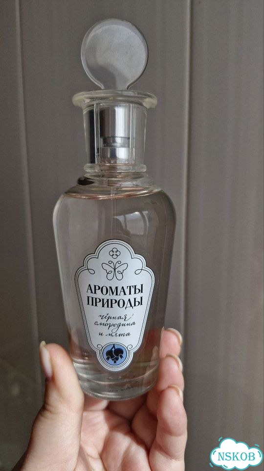 Запах чёрной смородины и мяты туалетная вода фото 3