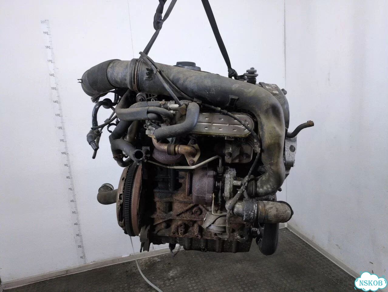 Двигатель Volkswagen Golf 5 BKD фото 1