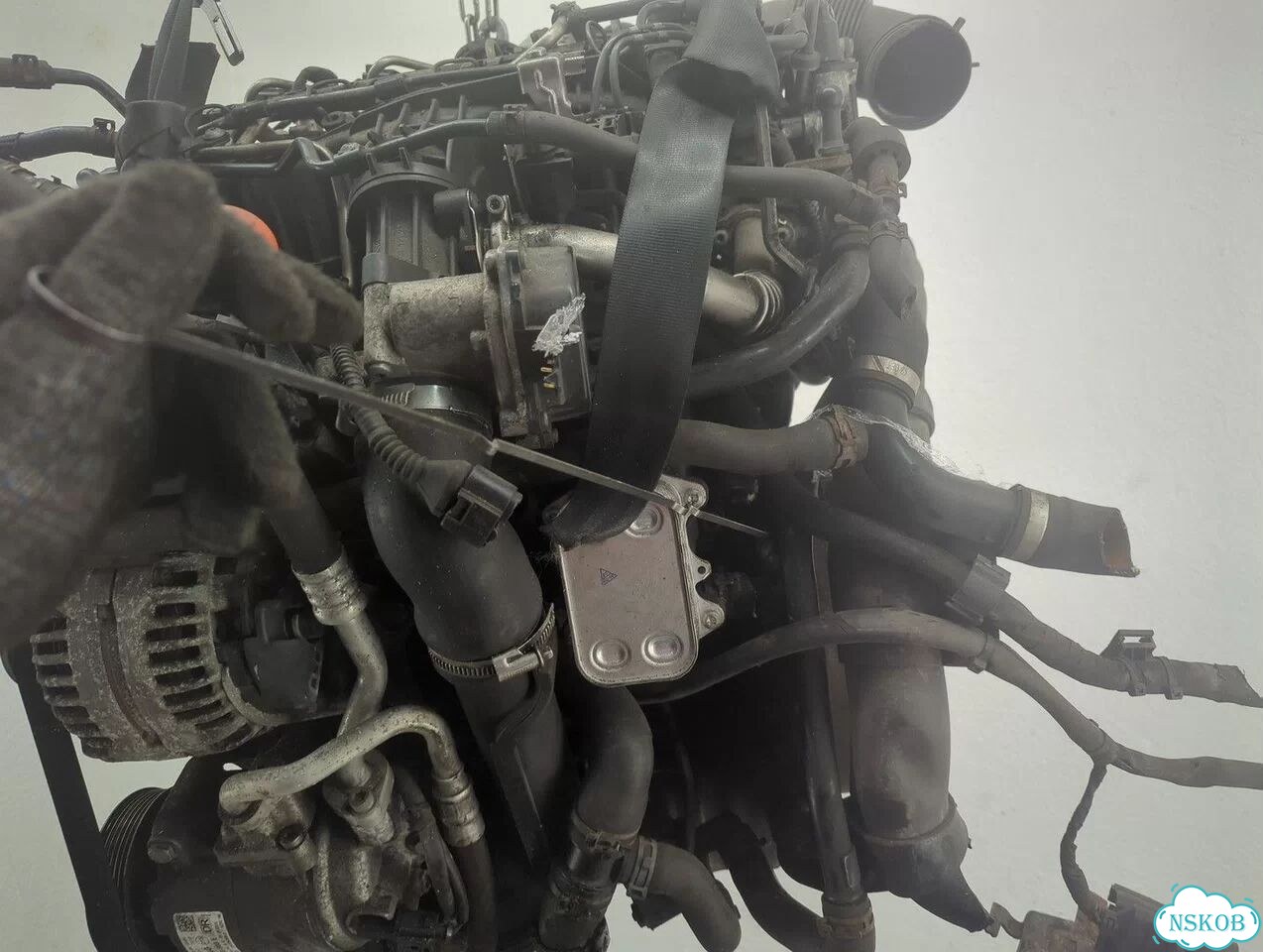 Двигатель Skoda Octavia (A5) cayc фото 8