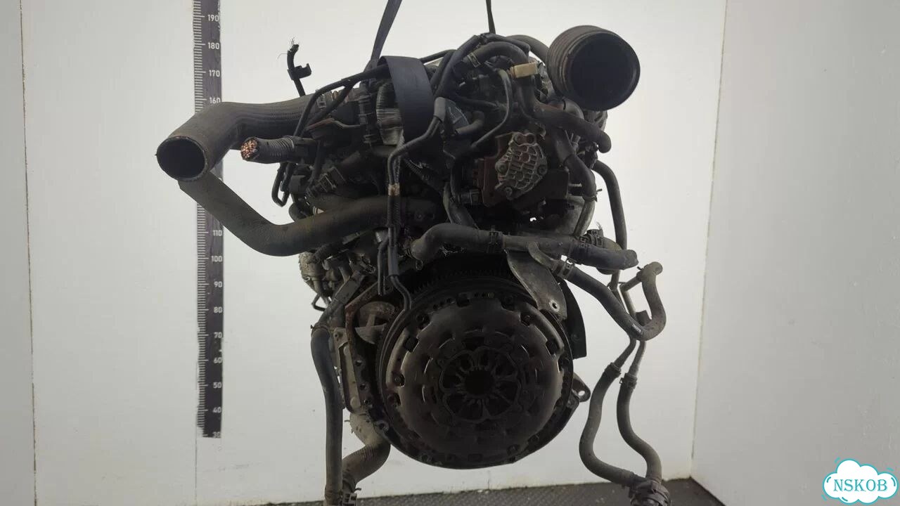 Двигатель Nissan X-Trail (T31) M9R фото 5