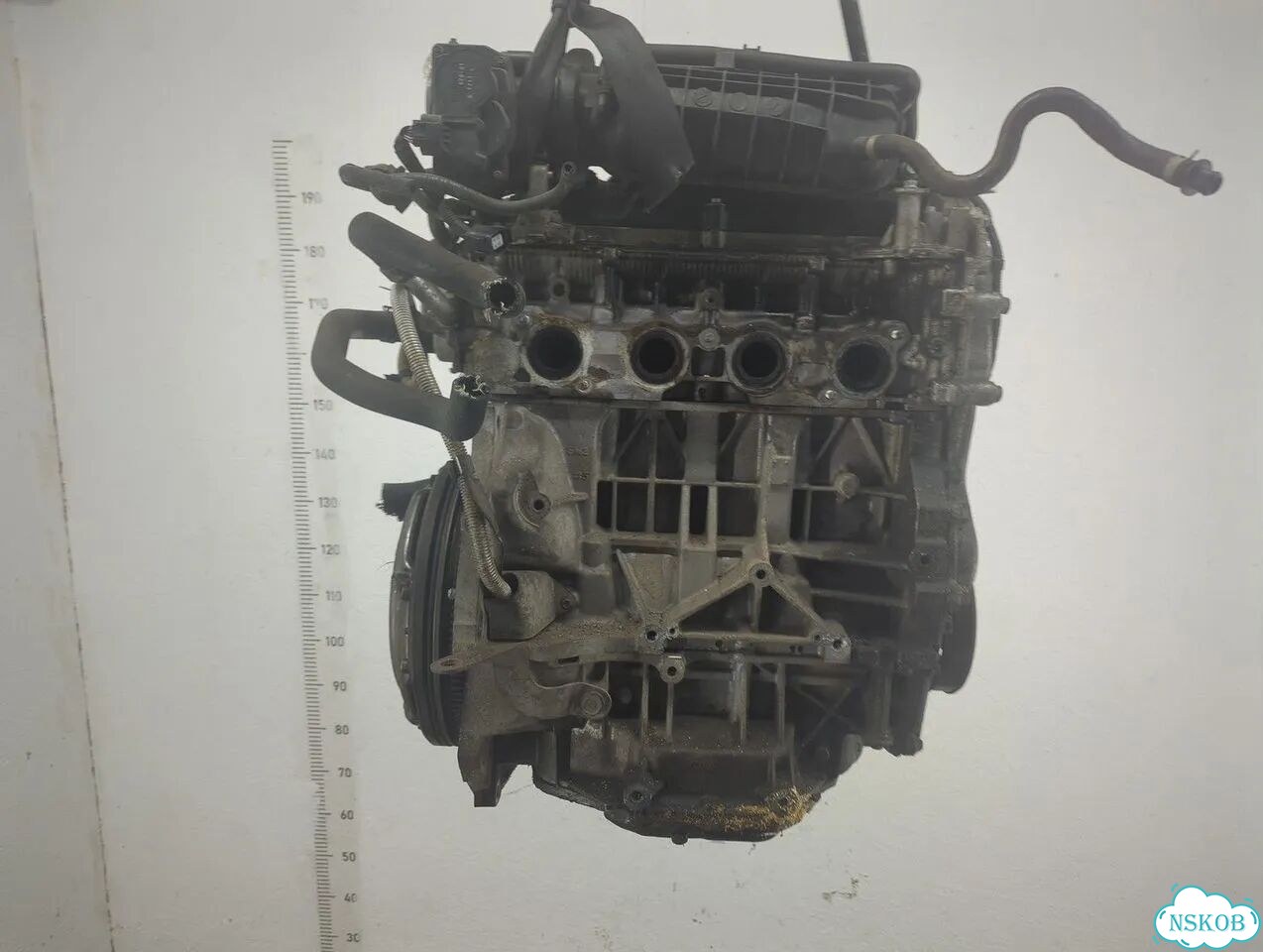 Двигатель Nissan Qashqai MR20DE фото 3