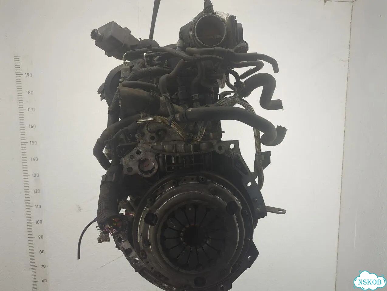 Двигатель Nissan Qashqai MR20DE фото 4