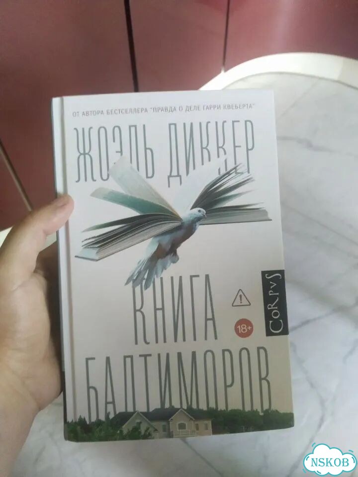 Правда о деле гарри квеберта. Книга балтиморов фото 2