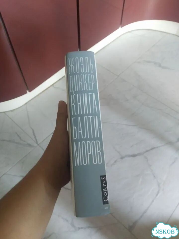 Правда о деле гарри квеберта. Книга балтиморов фото 4