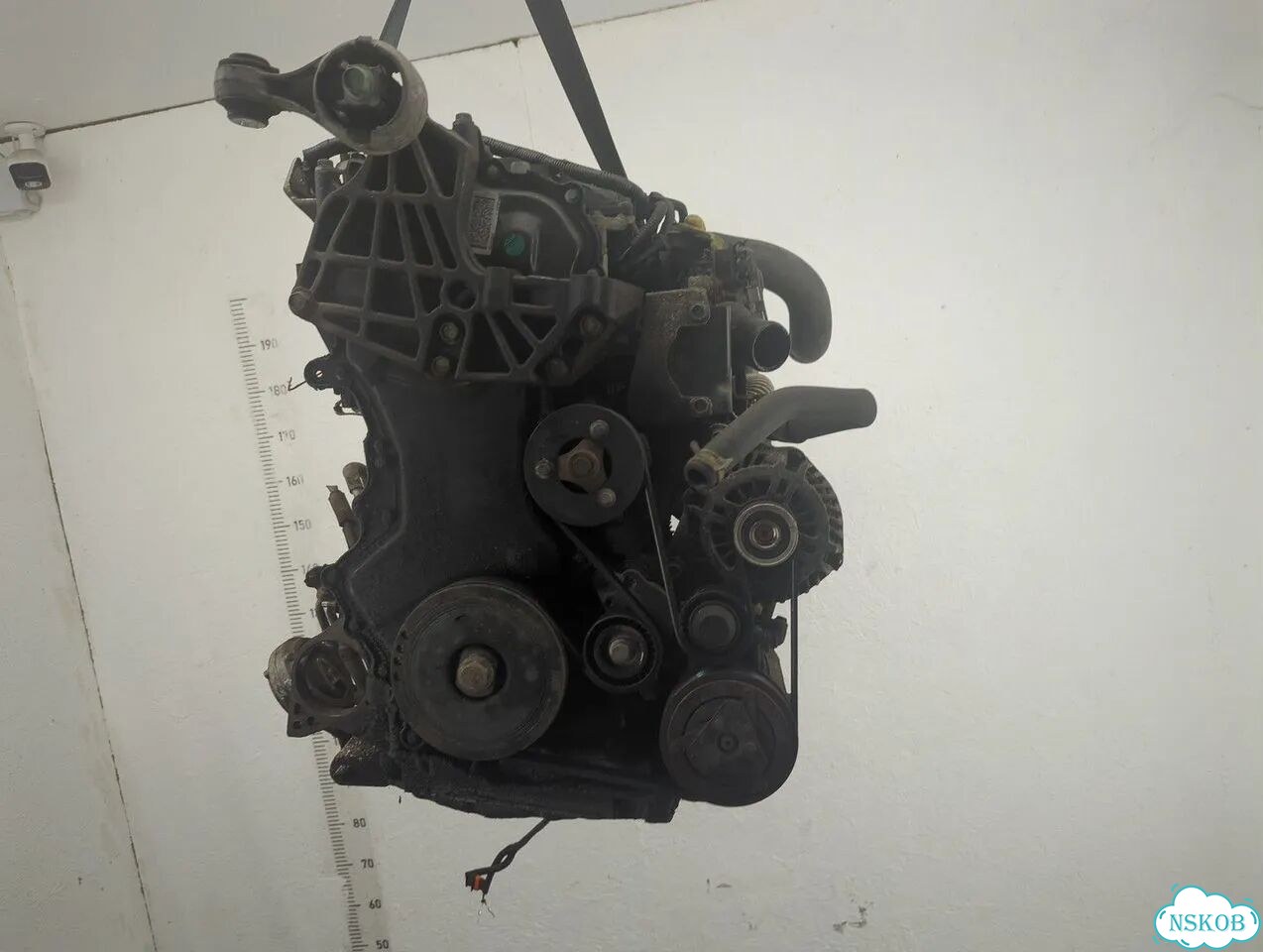 Двигатель Nissan Qashqai M9R фото 1