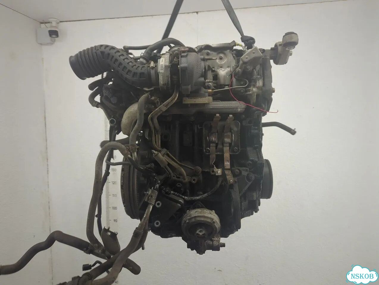 Двигатель Nissan Qashqai M9R фото 3