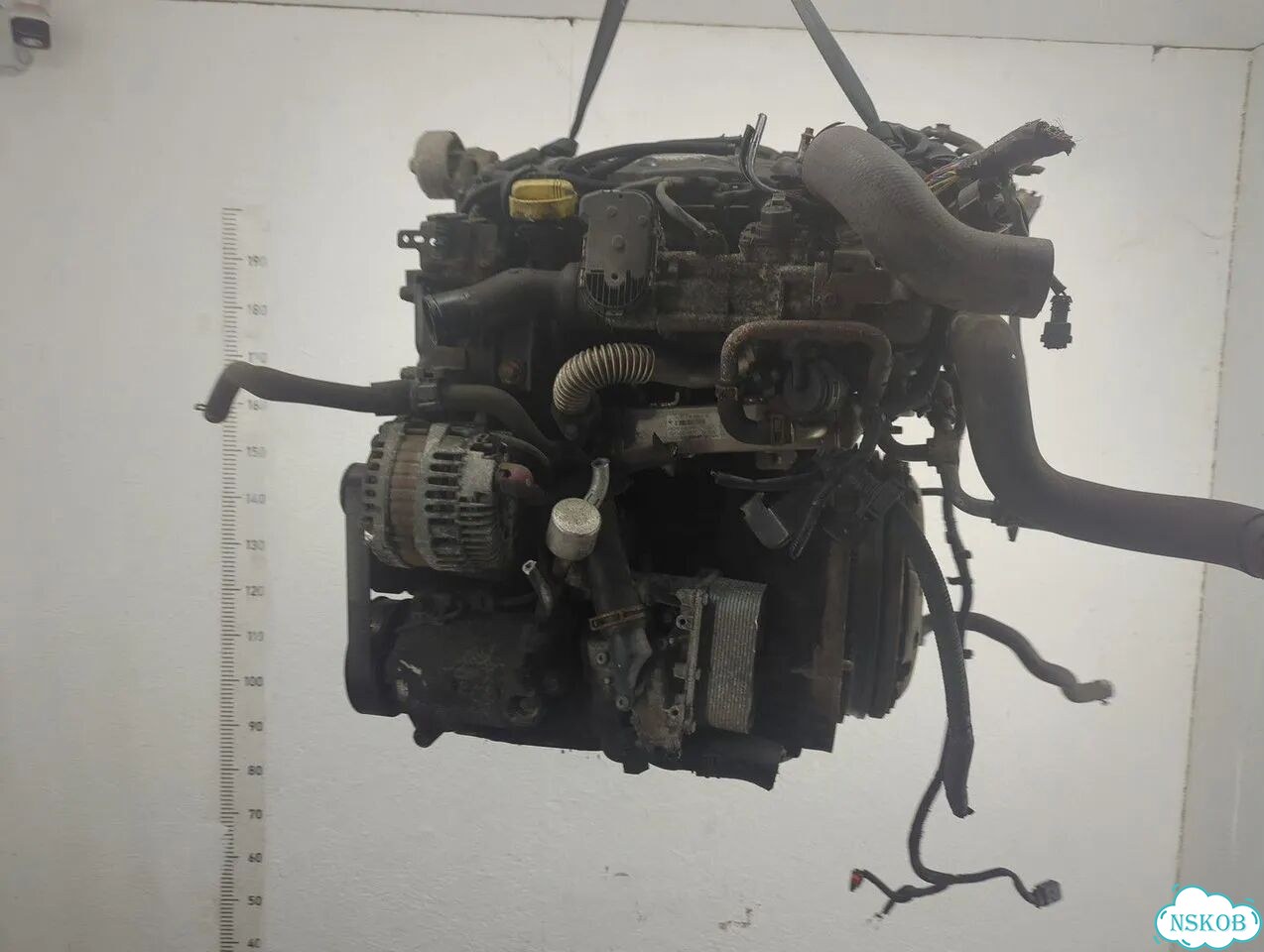 Двигатель Nissan Qashqai M9R фото 5